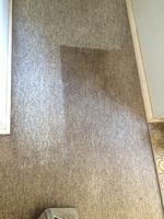 CARPET STEAM CLEANING