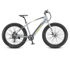 Buy Electric Bikes Australia from E-Ride Solutions