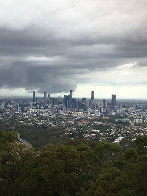 Trip to Mt Cootha